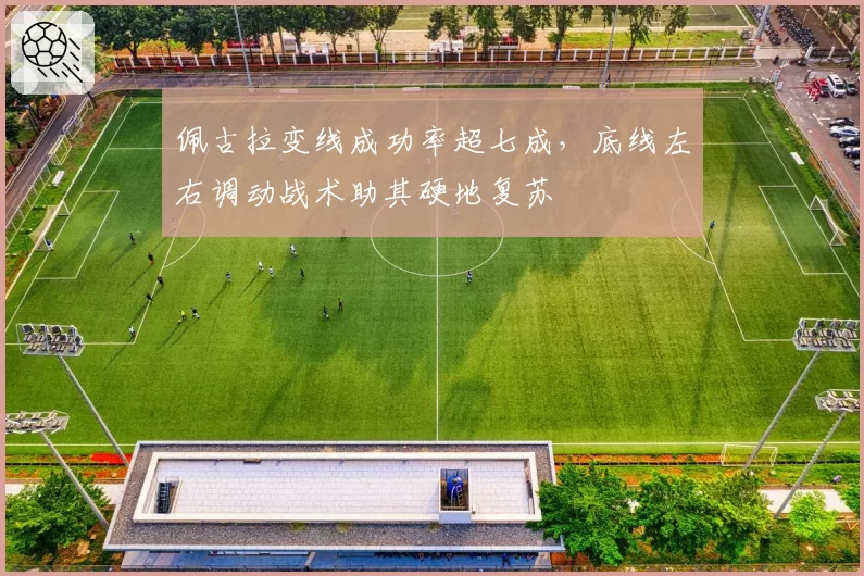 佩古拉变线成功率超七成，底线左右调动战术助其硬地复苏