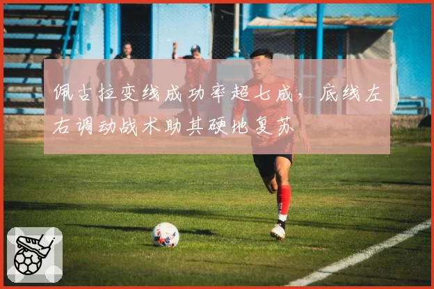 佩古拉变线成功率超七成，底线左右调动战术助其硬地复苏