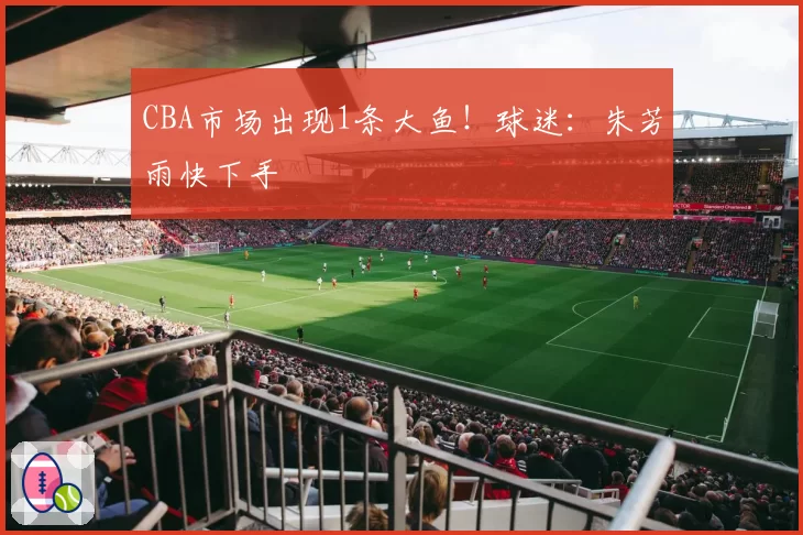 CBA市场出现1条大鱼！球迷：朱芳雨快下手