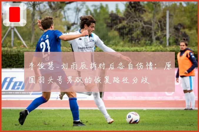李俊慧_刘雨辰拆对后各自伤情：原国羽头号男双的恢复路径分歧