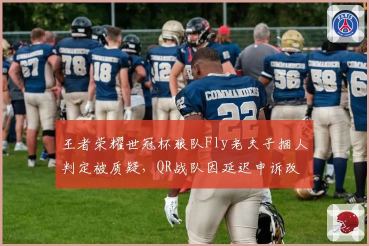 王者荣耀世冠杯狼队Fly老夫子捆人判定被质疑，QR战队因延迟申诉改判