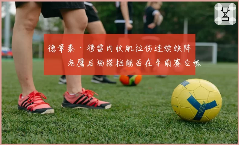 德章泰·穆雷内收肌拉伤连续缺阵，老鹰后场搭档能否在季前赛合练？