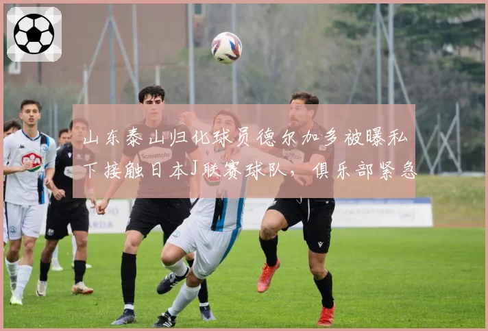 山东泰山归化球员德尔加多被曝私下接触日本J联赛球队，俱乐部紧急回应