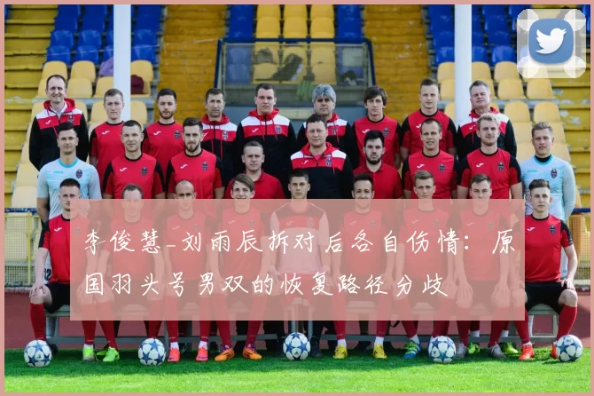 李俊慧_刘雨辰拆对后各自伤情：原国羽头号男双的恢复路径分歧